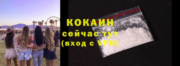 гашик Заводоуковск