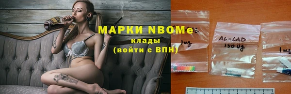 гашик Заводоуковск
