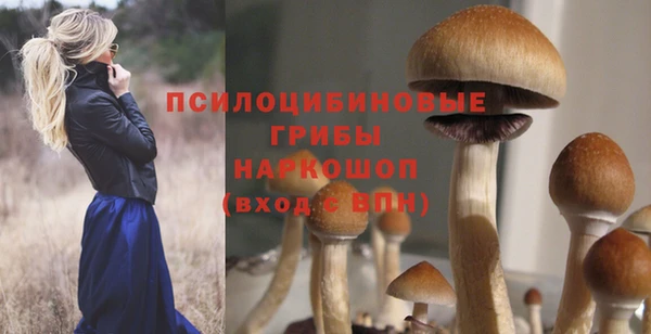 твердый Заволжск
