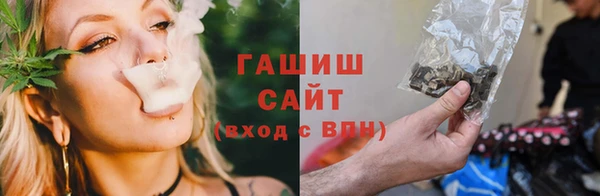 гашик Заводоуковск