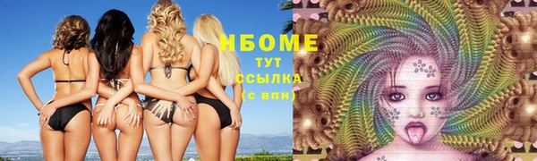 гашик Заводоуковск