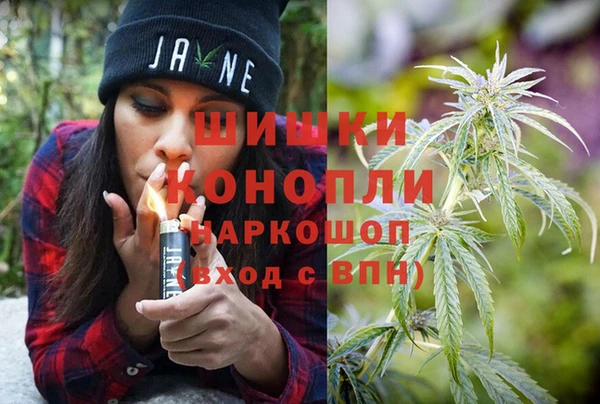 гашик Заводоуковск