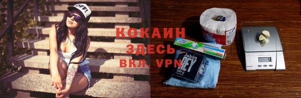 гашик Заводоуковск