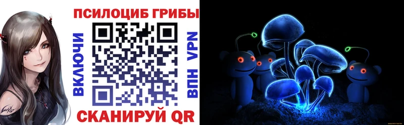 Псилоцибиновые грибы мицелий  Купить закладки  Новоузенск 